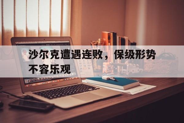 沙尔克遭遇连败，保级形势不容乐观的简单介绍