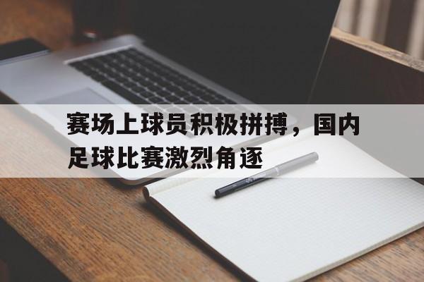 赛场上球员积极拼搏，国内足球比赛激烈角逐的简单介绍