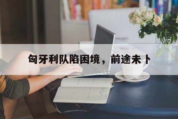 匈牙利队陷困境，前途未卜的简单介绍